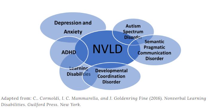 Nonverbal Learning Disability (NVLD): Possible Signs of NVLD, by